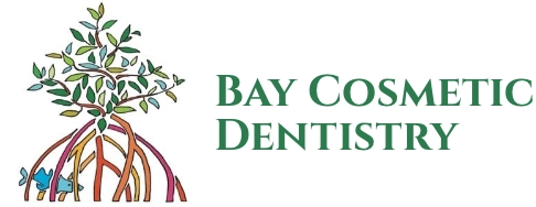 Top Dentist in Tampa